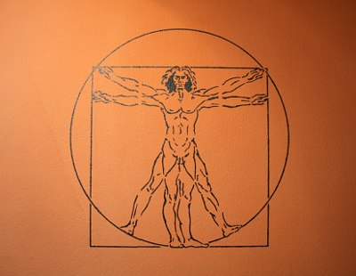 Leonardo da Vinci's vitruvianischer Mann als Wandschablone
